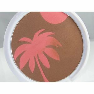 Pack of 2 Wet N Wild Coloricon Bronzer & Blush # 34298 Every